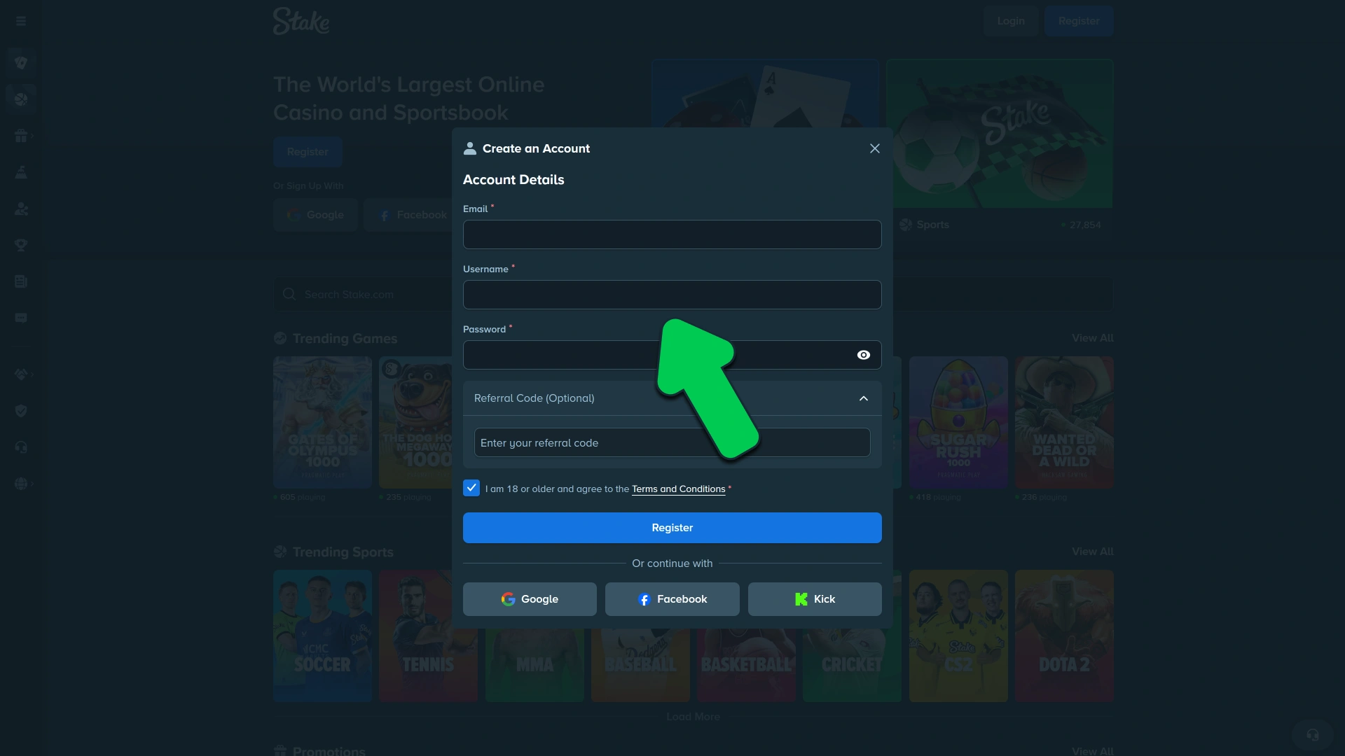 Input your valid private text details on how to register on Stake.
